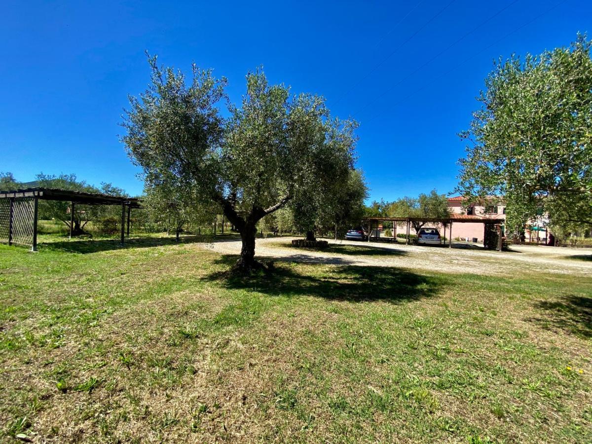 Residence Terme Isola D'Elba Srl Portoferraio Dış mekan fotoğraf