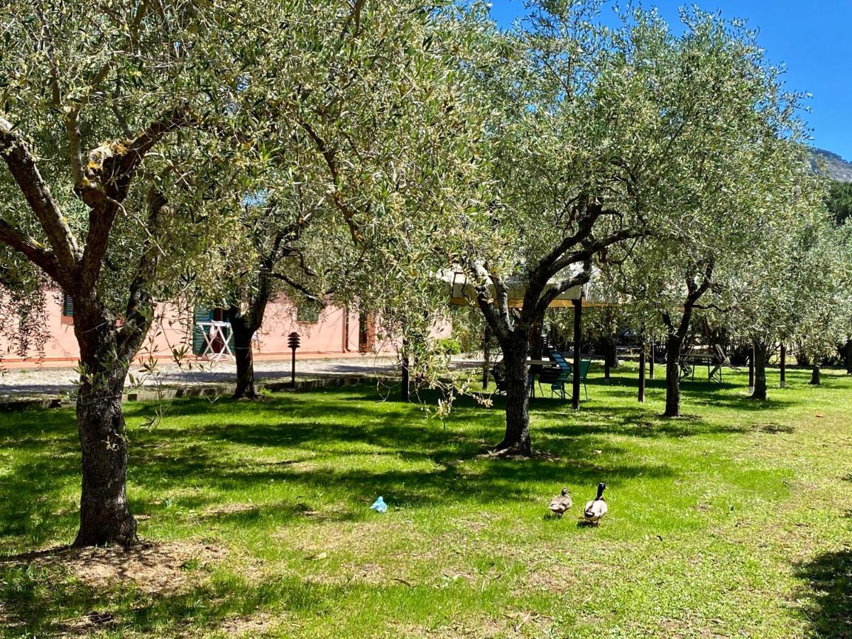 Residence Terme Isola D'Elba Srl Portoferraio Dış mekan fotoğraf