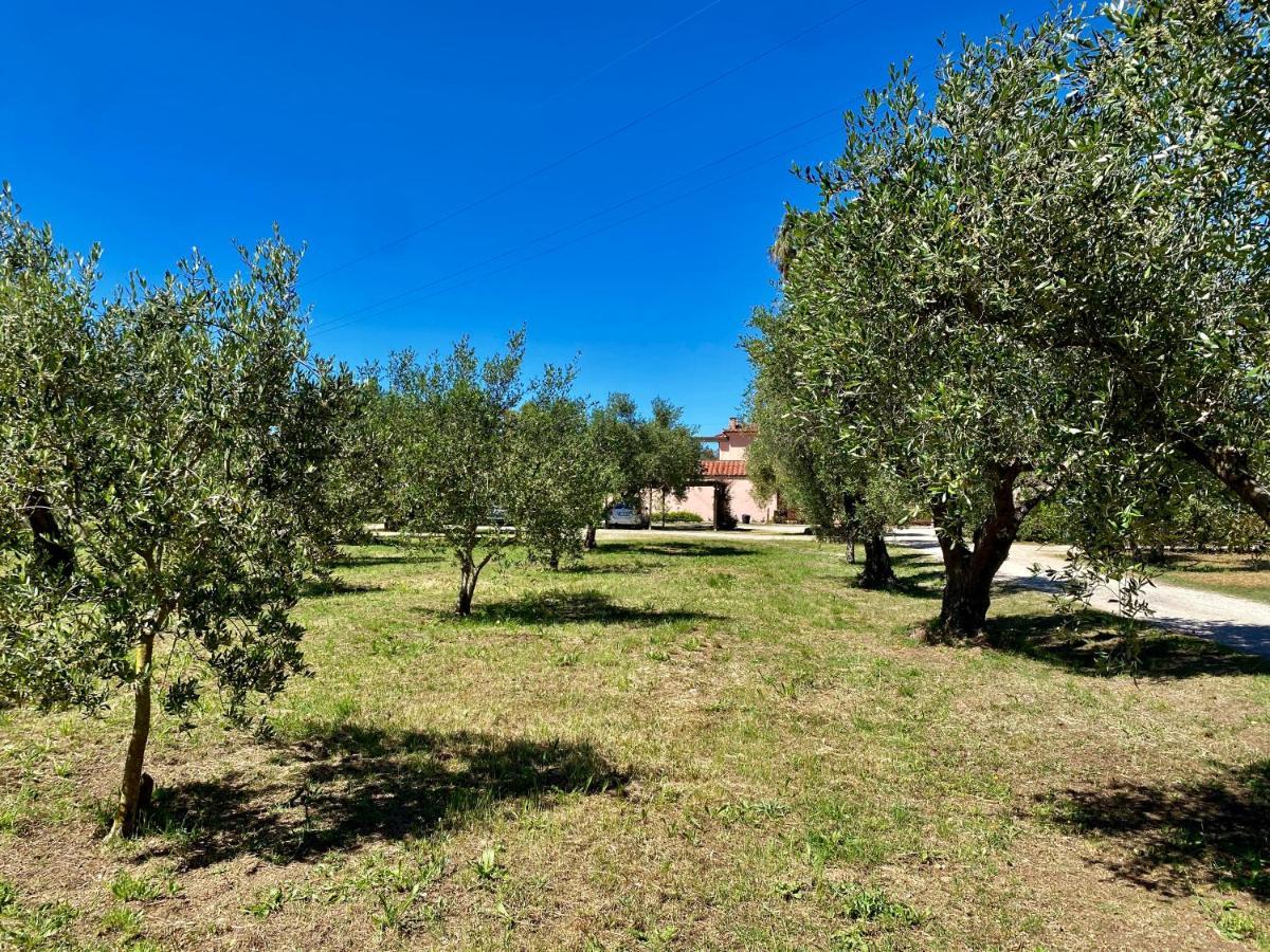 Residence Terme Isola D'Elba Srl Portoferraio Dış mekan fotoğraf