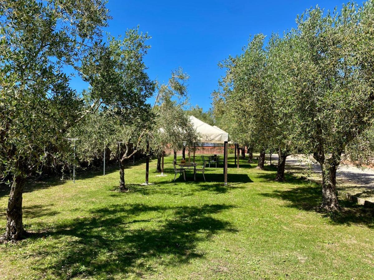 Residence Terme Isola D'Elba Srl Portoferraio Dış mekan fotoğraf